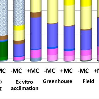 Phenolic Compounds With The Greatest Concentration Shift During