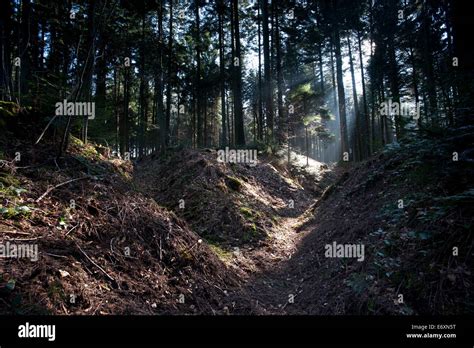 Argonne Forest Ww1