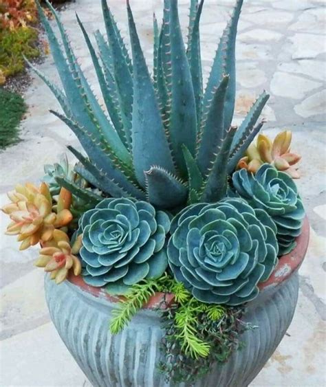 How to arrange flowers in a pot – Artofit