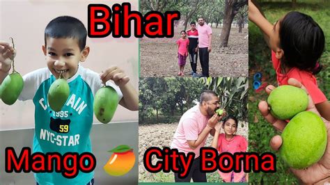 Mongo Village Bihar Borna Mari Nani Ka Gaon Bihar Mango Village