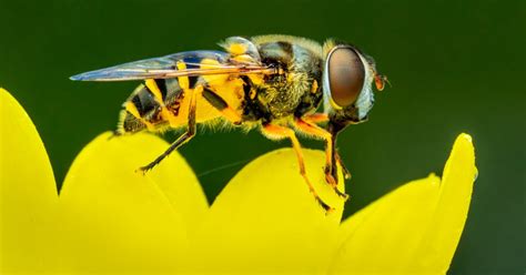 6 Life-Changing Benefits of Hive Christianity