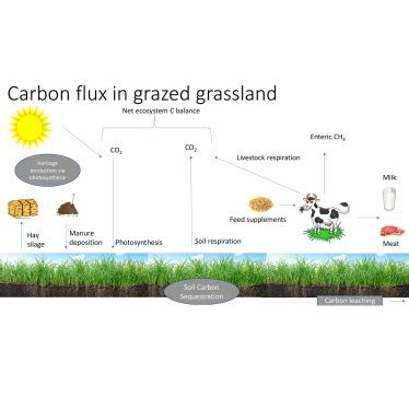 Enteric Methane Emissions In Grazing Dairy Systems JDS Communications