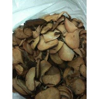 Jual Biji Alpukat Kering 1kg Shopee Indonesia