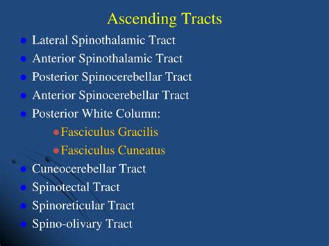 PPT - Spinal Cord Ascending Tracts PowerPoint Presentation, free ...