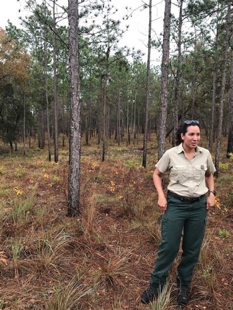 Restoring Two Species On Floridas Ocala National Forest National