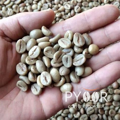 Robusta Argopuro Coffee – Grade 1 – Pyoor Coffee Indonesia
