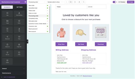 Email Customizer For WooCommerce Net1s