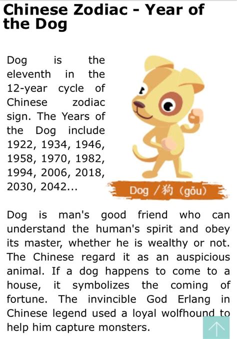 Chinese Zodiac Dog Year Dog Years Chinese Numerology Zodiac Years