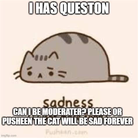 Sad Pusheen Imgflip