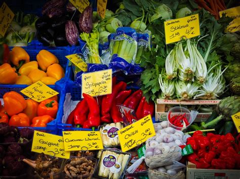 Gambar Menanam Bunga Kota Makanan Penjaja Menghasilkan Sehat