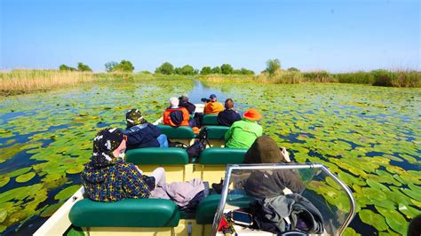 Chef De Duca Excursie De O Zi In Delta Dunarii Tulcea Padurea Letea