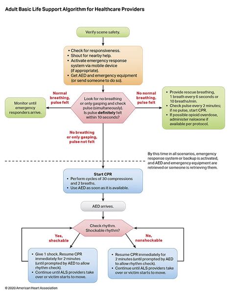 Bls Questions And Answers 2024 Medical Professionals