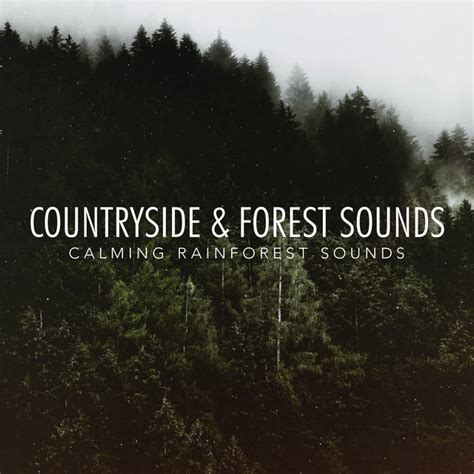 Countryside And Forest Sounds Album By Calming Rainforest Sounds Spotify