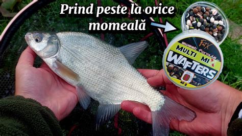 Pescuit La Feeder Cu Noi Momeli Am Prins Pe Te La Orice Culoare