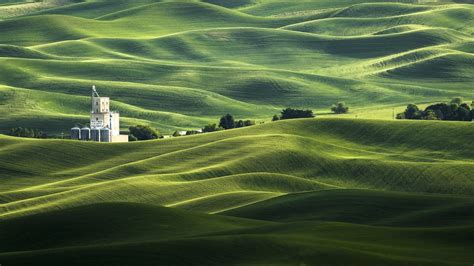 10 Interesting And Fun Facts About Palouse Washington United States