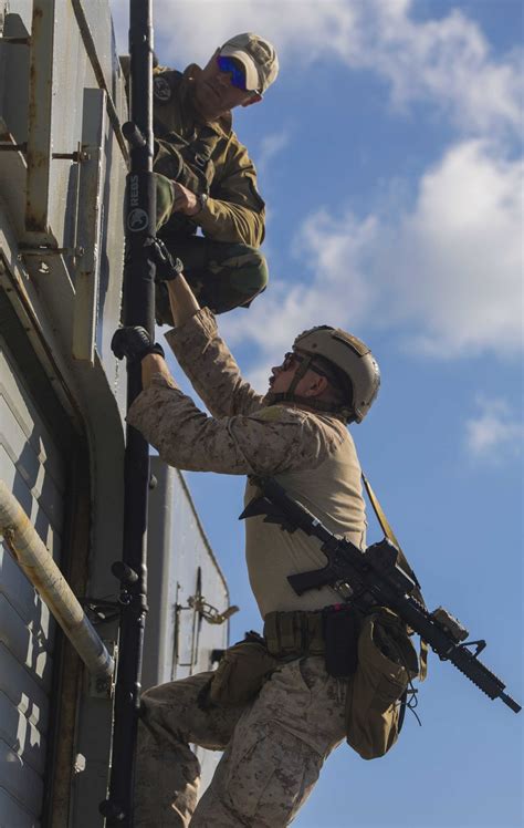 Dvids Images Th Marine Expeditonary Unit Force Recon Marines