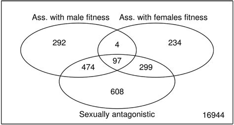 Venn Diagram Intersections Between Genes Significantly Positively Or Download Scientific