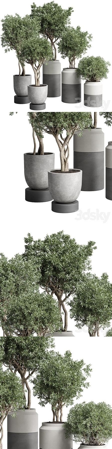 Collection Indoor Plant 189 Concrete Dirt Vase Pot Tree Down3Dmodels