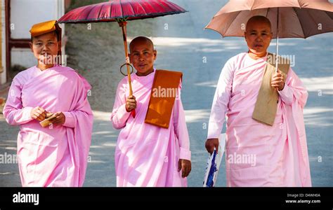 Buddhist Nuns In The Traditional Pink Robes Sagaing Hills Burma