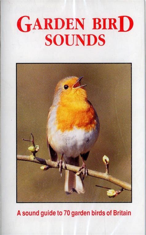 Garden Bird Sounds A Sound Guide To 70 Garden Birds Of Britain Nhbs