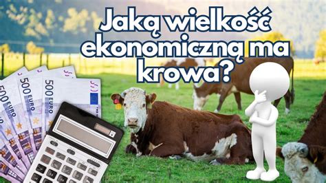 Jak Zmieni Wielko Ekonomiczn Gospodarstwa Weg Youtube