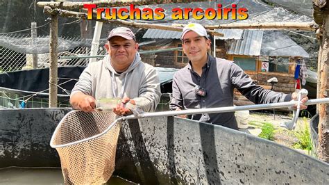 Granja acuícola de TRUCHAS especie arcoiris Producción de Alevines