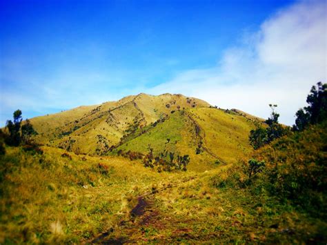 Catatan Perjalanan Gunung Merbabu - Hari Libur Nasional