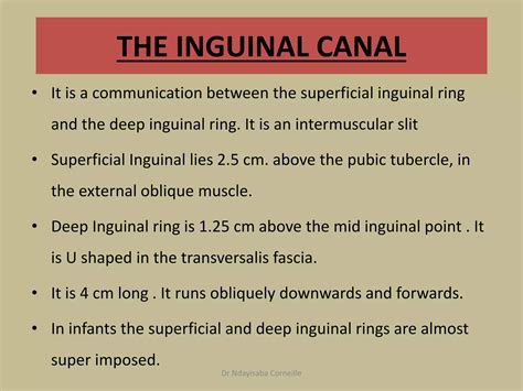 Ischiorectal_Fossa & Inguinal canal.pptx