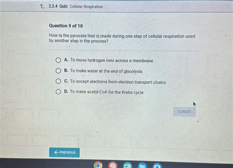 224 Quiz Cellular Respiration Question 9 Of Studyx