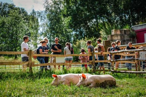 Besuchszeiten Im Land Der Tiere