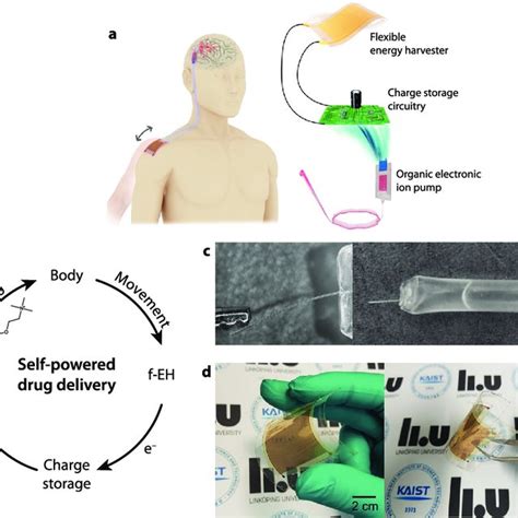 A Concept For A Self Powered Implantable Microcapillary Drug Delivery