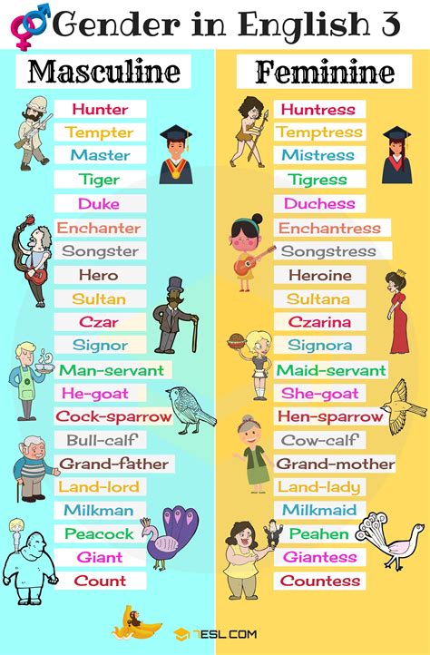 Masculine And Feminine Nouns