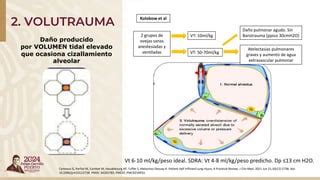 Complicaciones De La Ventilacion Mecanica Pptx