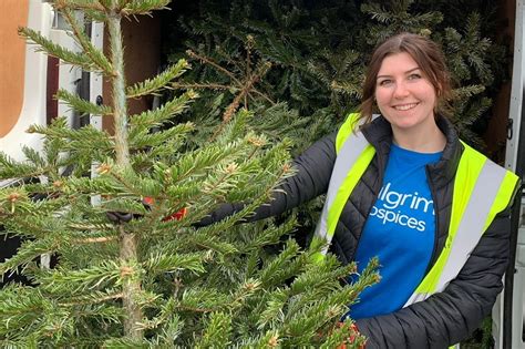 Pilgrims Hospices Christmas Tree Recycling Initiative Is A Record