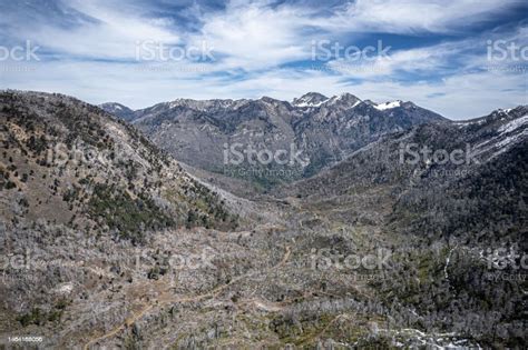 Aerial View Of Burnt Forests In Southern Chile Stock Photo Download