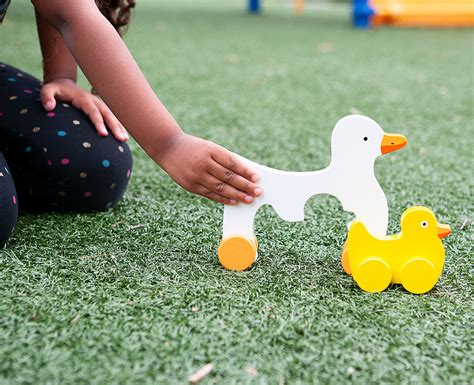 Big And Little Duck Push Toy
