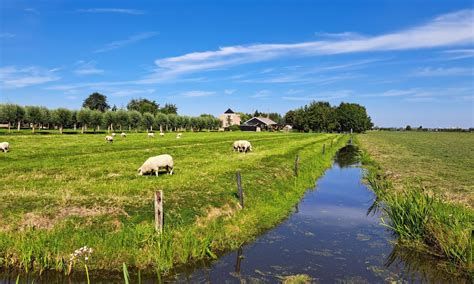 Natuur En Cultuurhistorie Midden Delfland Site