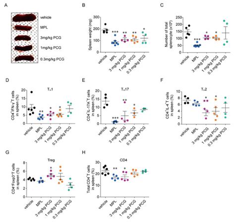 Ijms Free Full Text Punicalagin Ameliorates Lupus Nephritis Via