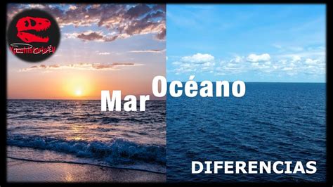 LAS DIFERENCIAS ENTRE UN MAR Y UN OCÉANO YouTube