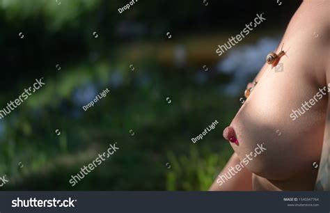 Nude Woman Snails On Her Body Stock Photo 1540347764 Shutterstock