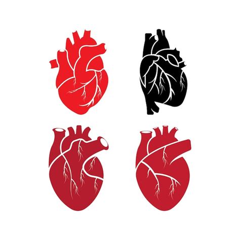 Premium Vector Human Heart Logo Medical Cardiology Vector Icon