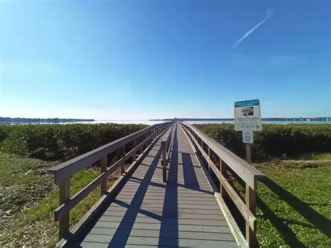 Best Beach Trails in Oldsmar | AllTrails