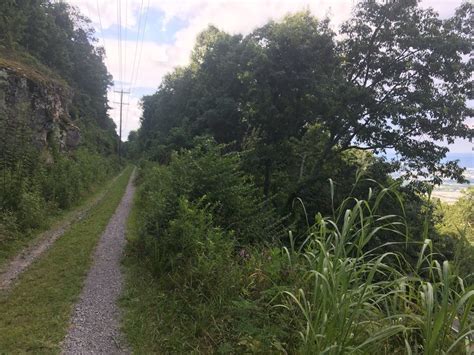 Guild Trails Mountain Bike Trail Lookout Mountain Tennessee