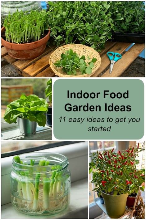 Indoor Food Garden Ideas 11 Easy Vegetables And Fruits To Get You Started