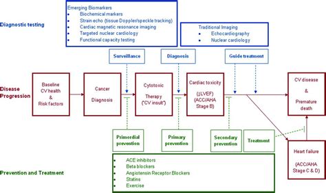 Cancer Therapyinduced Cardiac Toxicity In Early Breast Cancer