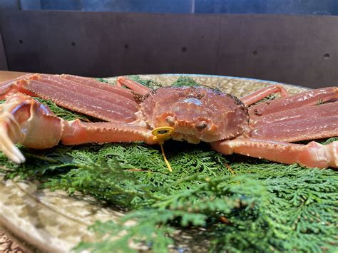 【福井 三国温泉】《望洋楼》料理旅館の夕食でホンモノを味わう！「皇室献上級」越前がにコース 旅するフリーランス女医★えりおのトラベル×毒舌ブログ