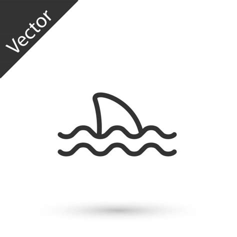 630 Grey Shark Illustrations Royalty Free Vector Graphics And Clip Art