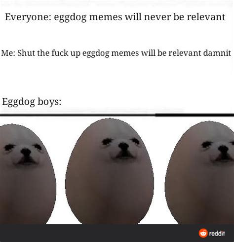 EGGDOG MEME : r/EggdogMemes