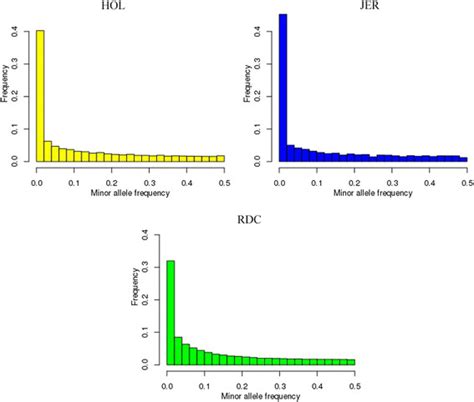 Minor Allele Frequency Distribution For Hol Jer And Rdc Bulls From