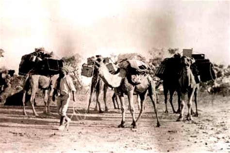 Camel Treks Australia shares some Camel History